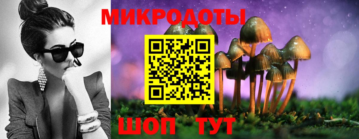 Галлюциногенные грибы Psilocybine cubensis  Вход с VPN  Балабаново 